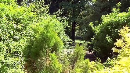 GOODLINES: 15th May 2019