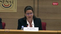 Agnès Buzyn : «  Les mesures mises en place ces dernières années ne sont pas suffisantes »