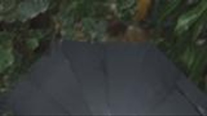 Angelo, sinubukan dalawin si Yna