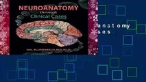 Full E-book  Neuroanatomy through Clinical Cases Complete