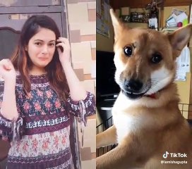 Latest tiktok superstars videos - tiktok trending on this week