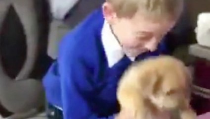 Hardworking Boy Gets Surprise Puppy