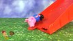 Peppa Pig and George have fun at the park while mummy pig surprises george birthday fun