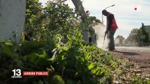 Poitiers : des espaces verts sans pesticides