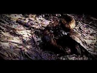 "The End Of The World" Coming Soon