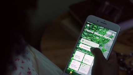 Apple Accessibility Sady