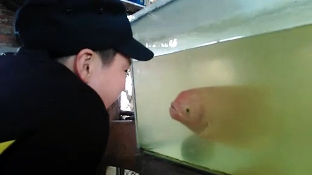 Un poisson imite un enfant et lui fait des grimaces