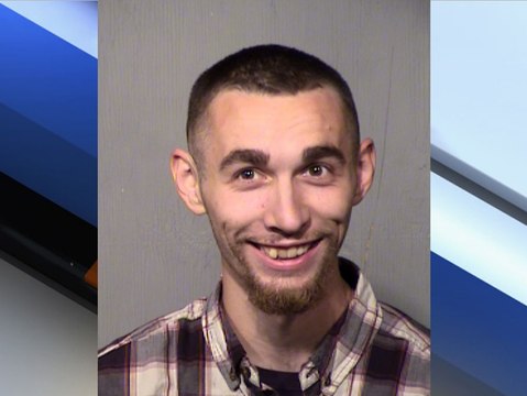 Man arrested after throwing puppy like a baseball - ABC15 Crime