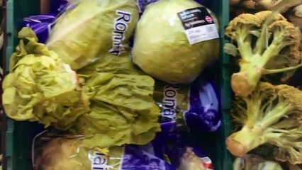 What Is Food For Soul?