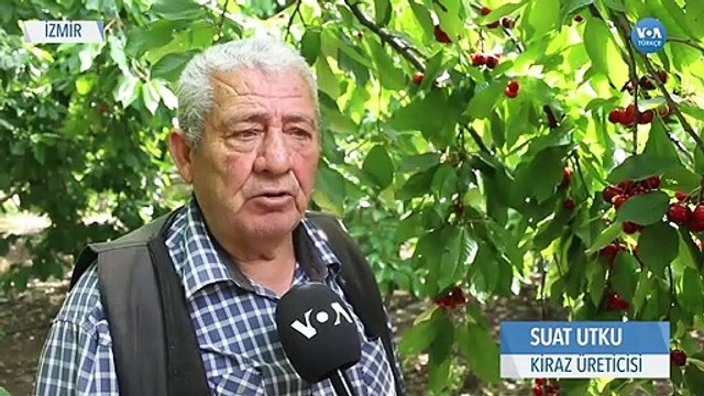 Tarımda Hem Üretici Sayısı Azalıyor Hem Üretim Alanı