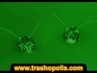 Gli uomini granchio dalle Filippine!