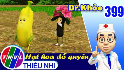 THVL | Dr. Khỏe - Tập 399: Hạt hoa đỗ quyên - Phần 1