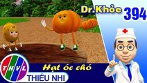 THVL | Dr. Khỏe - Tập 394: Hạt óc chó - Phần 3