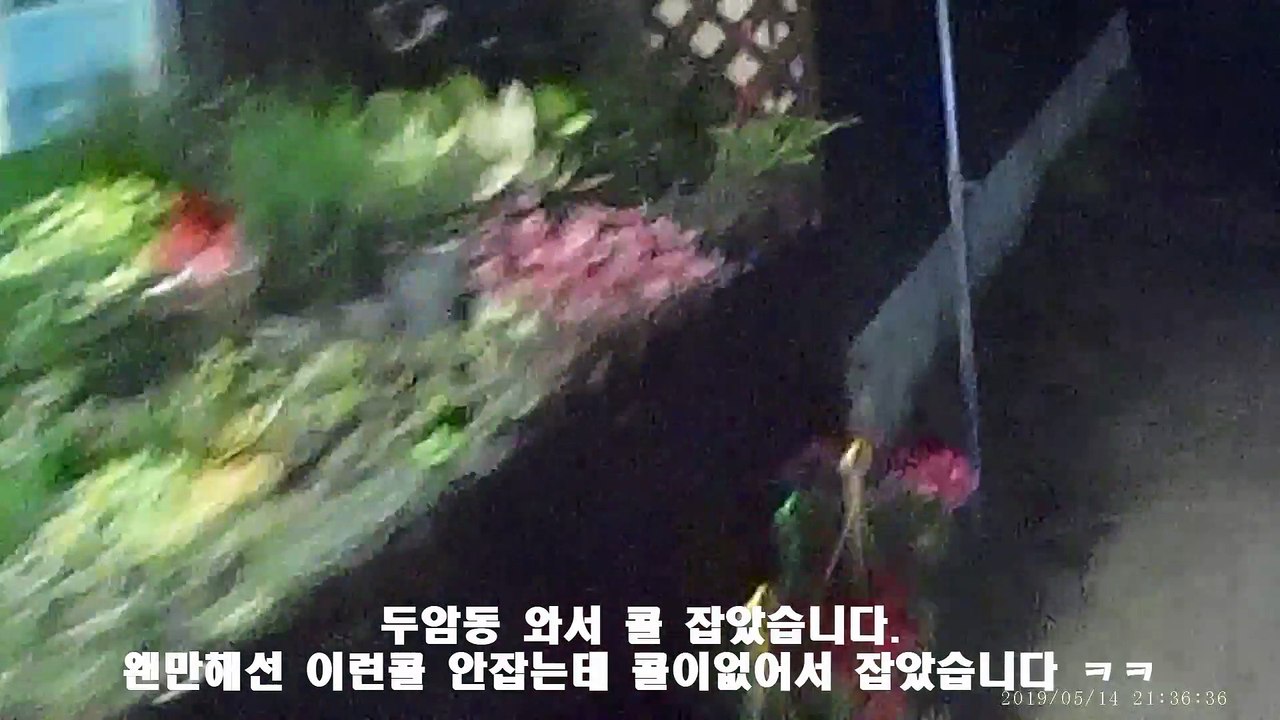 190514 광주대리운전