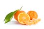 Vos Questions Jardin:  Mes mandariniers ne donnent pas de fruits