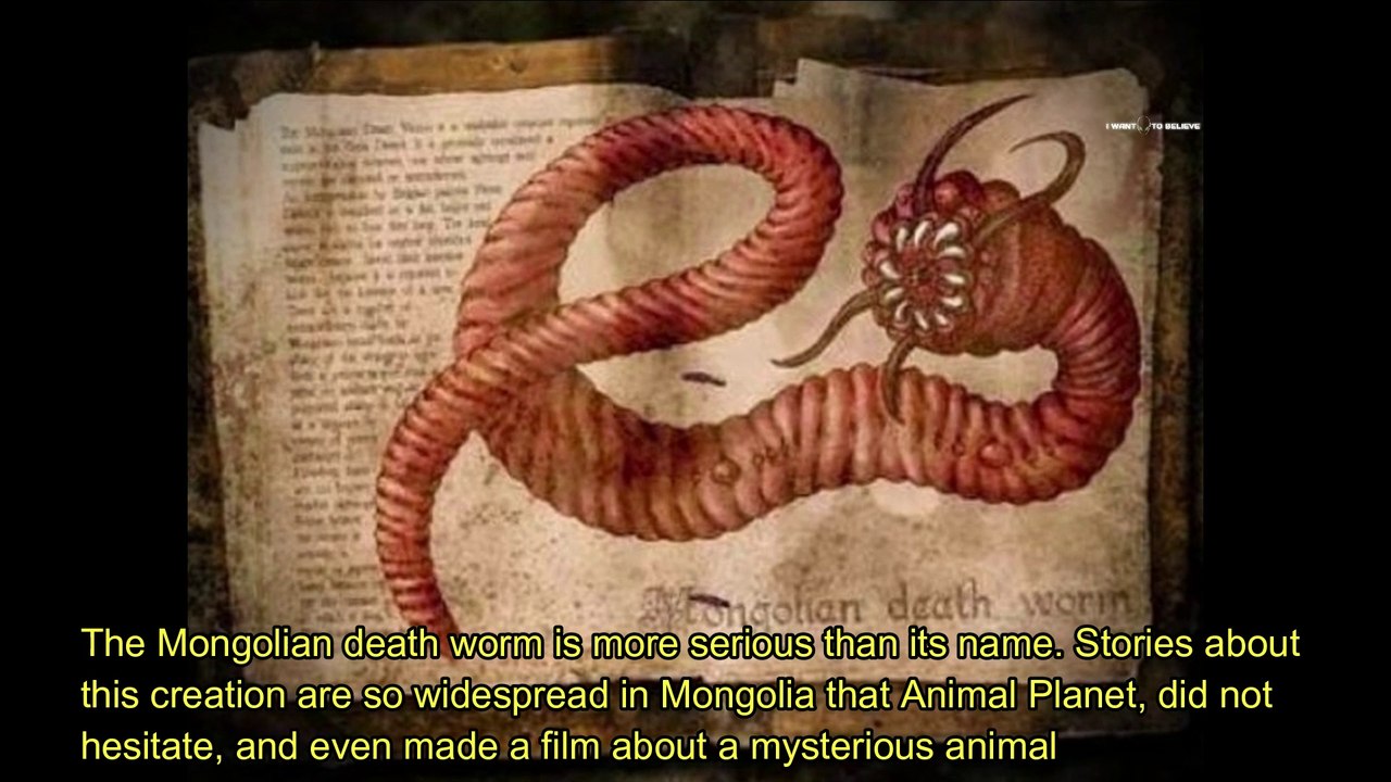 13 facts about the Mongolian death worm