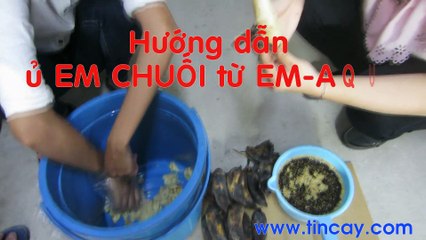 Huong dan u EM chuoi