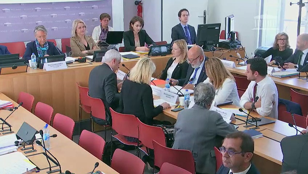Commission du développement durable : Mme Elisabeth Borne, ministre des transports, sur le projet de loi d’orientation des mobilités  - Mardi 14 mai 2019