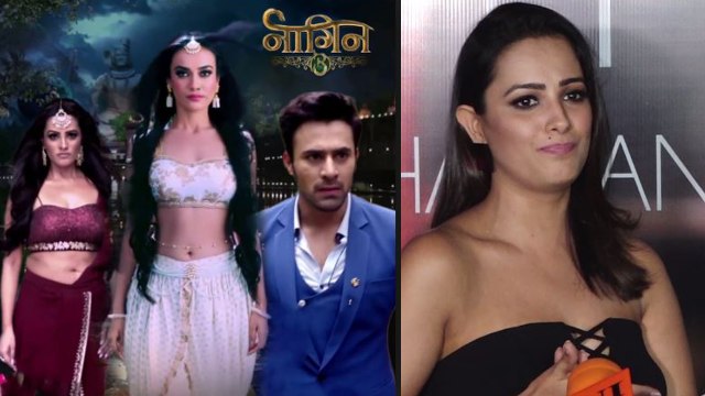 Naagin 3: Anita Hassanandani breaks silence on show going Off Air; Watch video | FilmiBeat