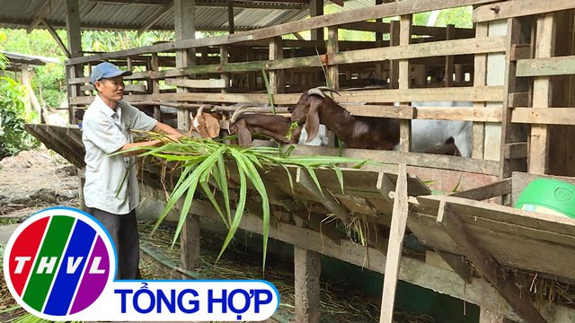 THVL | Nông thôn ngày nay: Bình Ninh với những mô hình thoát nghèo hiệu quả