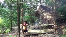 Primitive Technology:used-Build Grass hut(Made From Shed)-Primitive Life
