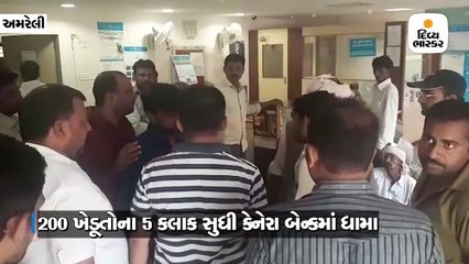 રાજુલામાં કેનેરા બેંકમાં પાક વીમા મુદ્દે ખેડૂતોનો હોબાળો