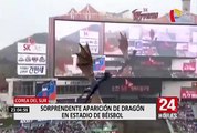 Corea del Sur: dragón sorprende público asistente a estadio de béisbol