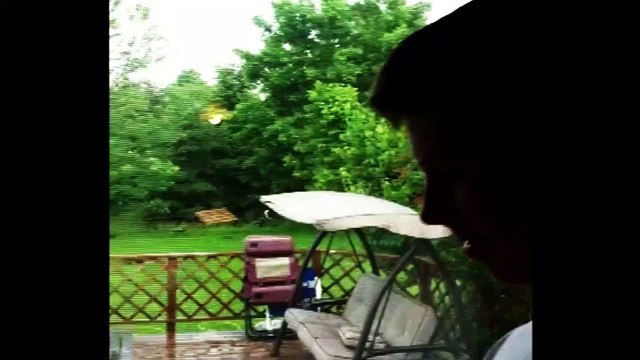 Donner à manger à bébés corbeaux orphelins (Canada)