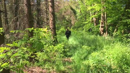 LIEGE - Grâce Hollogne - Battue pour retrouver une personne disparue - opération conjointe police locale , fédérale et protection civile