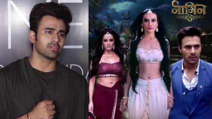 Naagin 3: Pearl V Puri gets emotional on show going off air | FilmiBeat