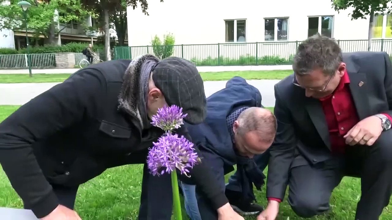 Gemischtersatz vor Vienna Buisness School