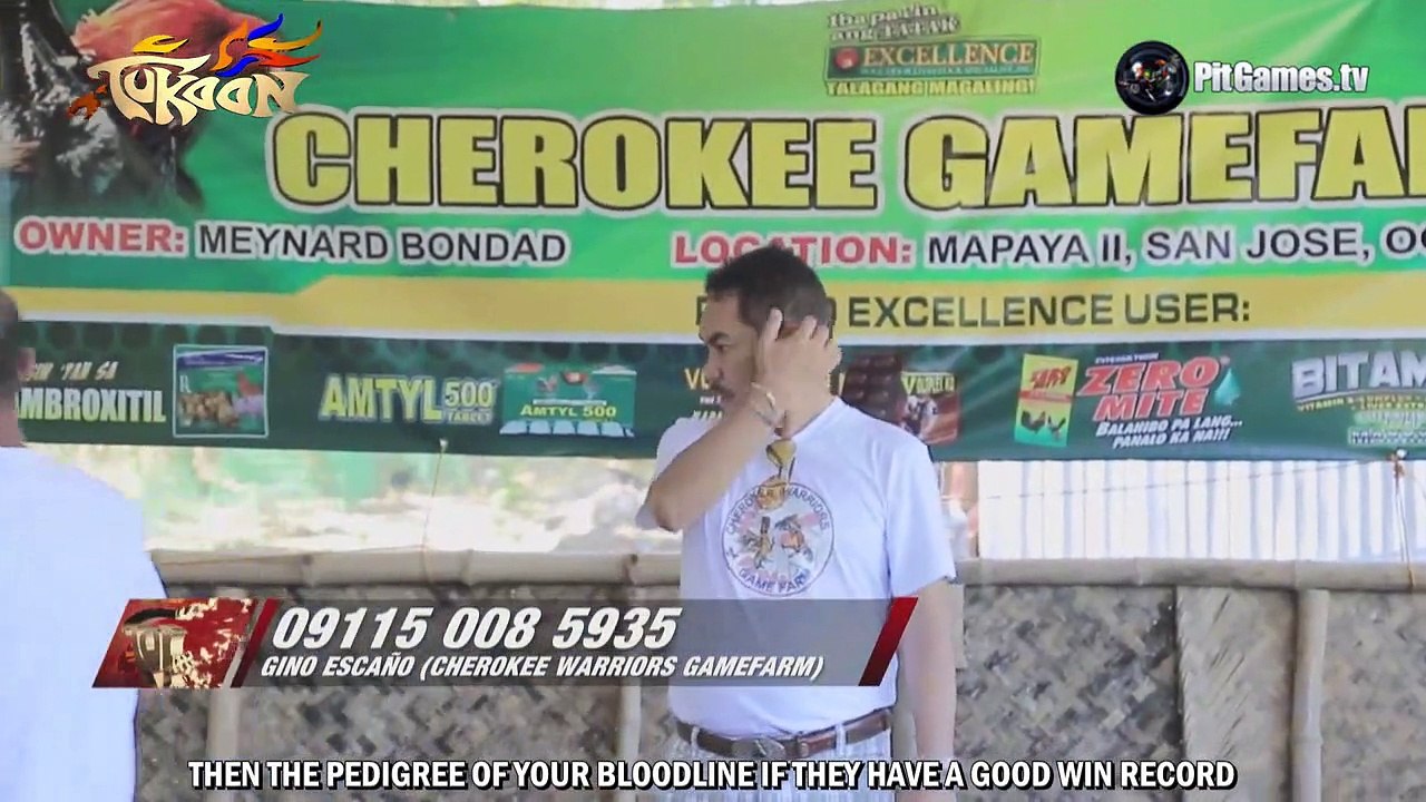 Breeder of the Week  - Meynard Bondad - Cherokee Warriors Gamefarm