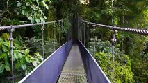 Walk The Arenal Sky walk In Costa Rica - Woovly Bucket List Idea