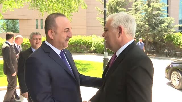 Çavuşoğlu, Romanya Temsilciler Meclisi Avrupa İşleri Komisyonu Başkanı Tilvar'i Kabul Etti