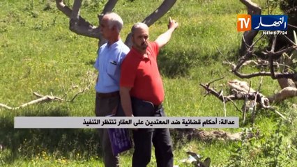 أحكام قضائية ضد المعتدين على العقار تنتظر التنفيذ