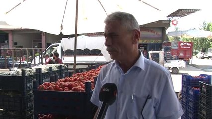 Adana'da Domates ve Salatalığın Kilosu 1 Liraya Düştü