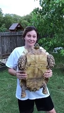 Elle tient sa tortue qui lui pisse dessus !