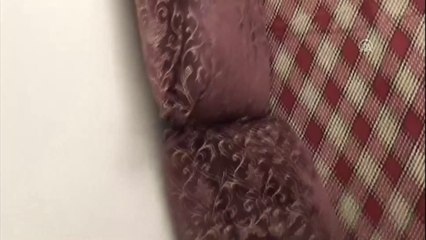 Eve giren yılanı itfaiye ekibi yakaladı - MARDİN