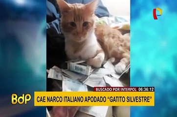 ‘Silvestre’: narco italiano buscado por la Interpol se hacía pasar por empresario