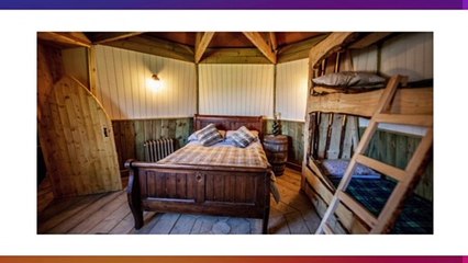 Harry Potter: dormir na cabana do Hagrid é agora possível!