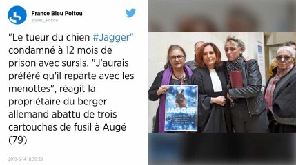 Deux-Sèvres. Un an avec sursis pour l’homme qui a abattu le chien Jagger à la carabine