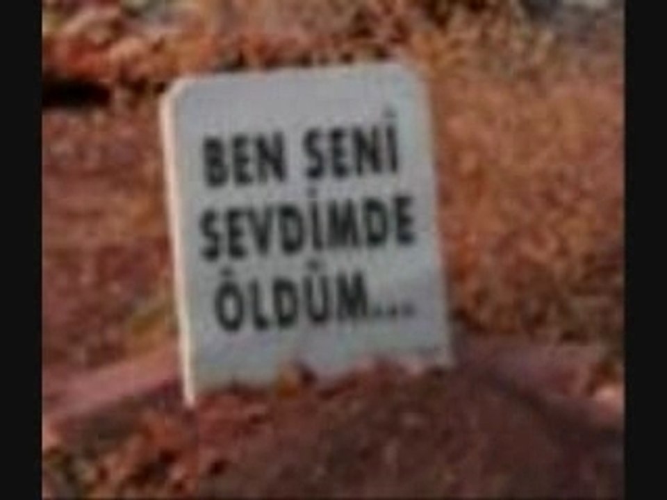 Adini sen koy