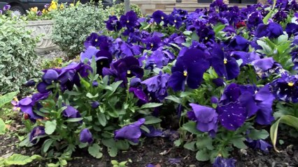 What Makes A Marriage With Oulton Hall Wedding Fayre!