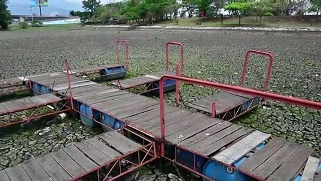 Lagos de parques capitalinos sufren por falta de lluvias en Costa Rica