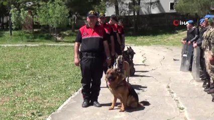 Jandarma Düzenledi, Engelliler Unutulmaz Bir Gün Yaşadı