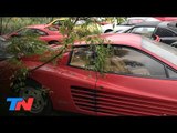 Texas: encontraron un campo lleno de Ferraris abandonadas