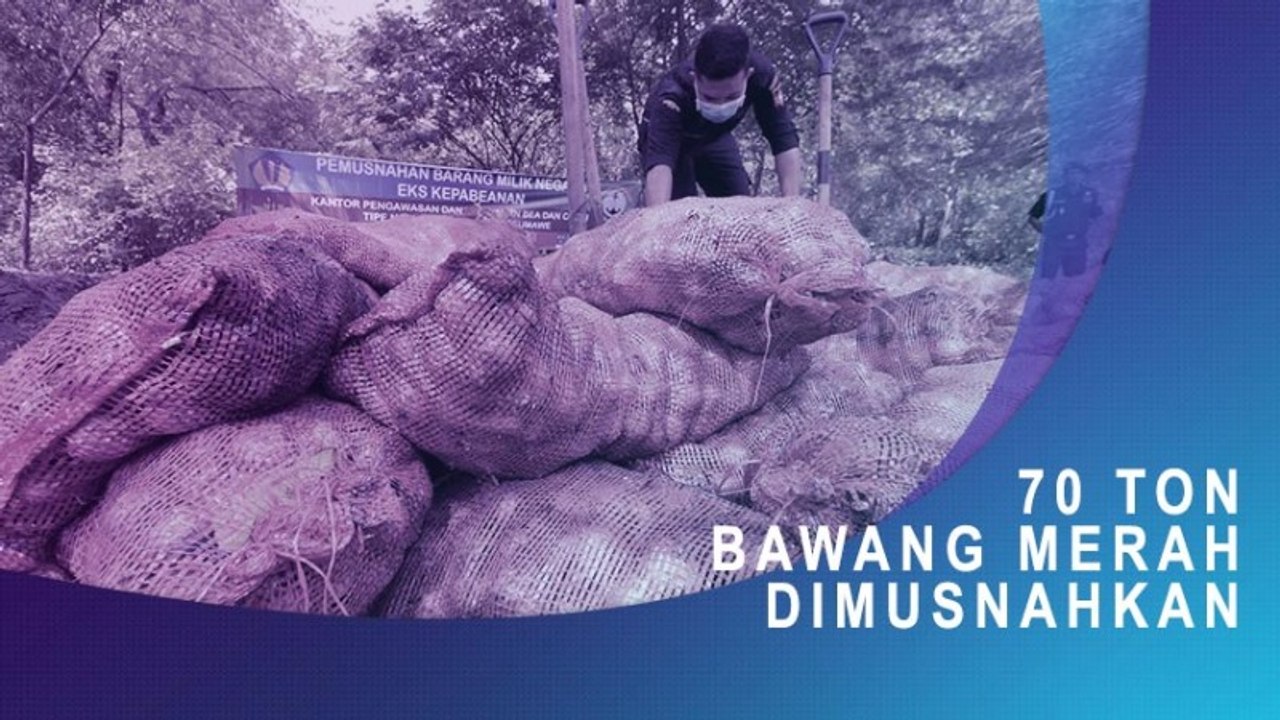 70 Ton Bawang Merah Dimusnahkan