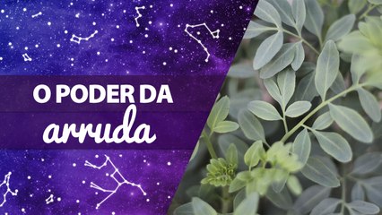 O PODER DA ARRUDA | João Bidu