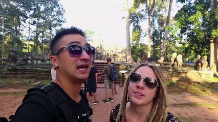 Monkeys Attracted to Woman's Dreadlocks