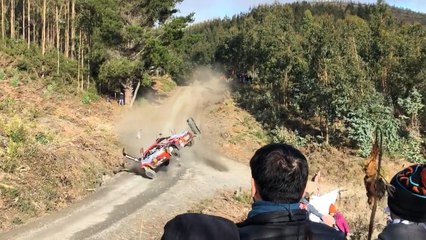 Rallye du Chili : l'impressionnant crash de Thierry Neuville